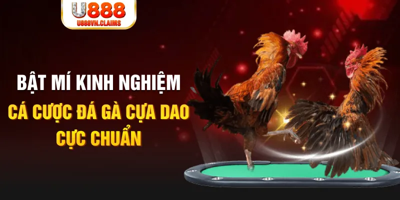 mcw87 com trong baccarat, ai là người chia bài chính？