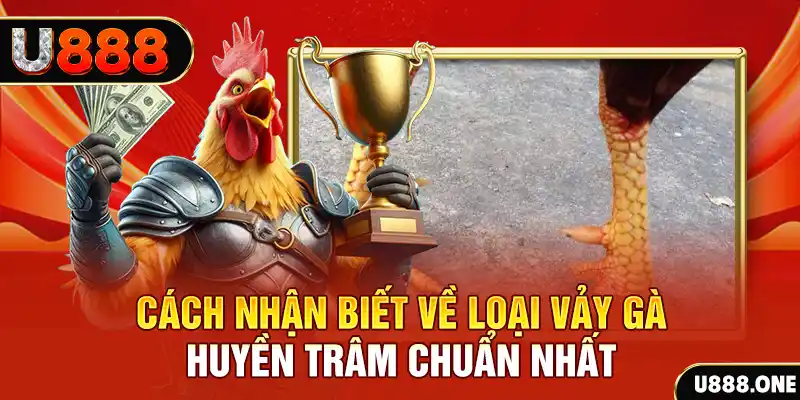 mcw87 com Chú hề Patty tuổi teen