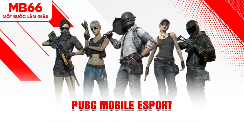 mcw87 com gà chọi c1 mới nhất