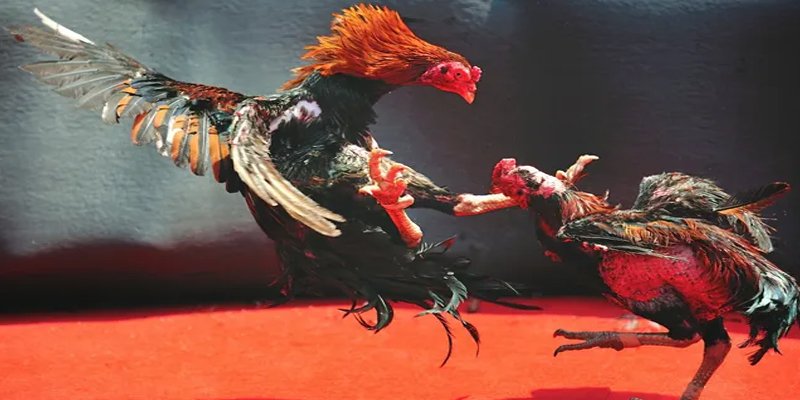 mcw87 com đăng nhập nổ hũ số 1