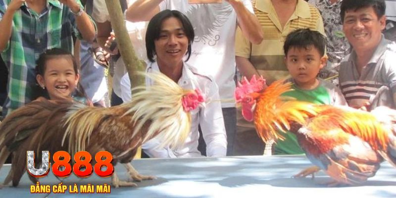 mcw87 com mơ thấy nổ hũ đánh con gì