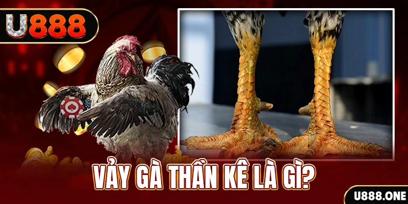 mcw87 com xổ số miền bắc thứ tư hàng tuần