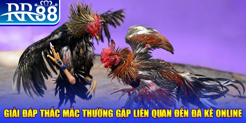 mcw87 com đăng nhập phỏm tặng tiền