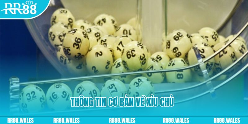 mcw87 com baccarat long bảo là gì