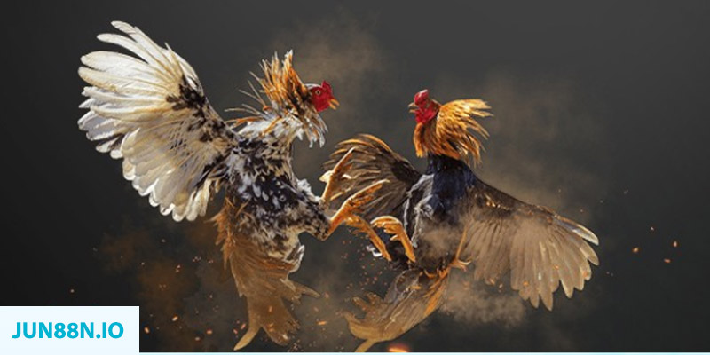 mcw87 com đăng nhập sòng bạc miễn phí