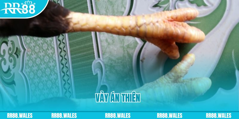 mcw87 com who wants to be a millionaire slot