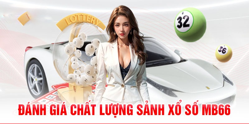 mcw87 com 789bet có bao nhiêu sảnh game bài 3d ？